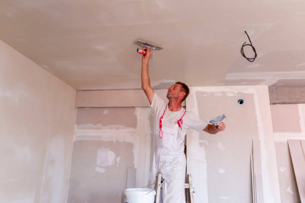 Best Touch-Up Painting  in Leonard, TX